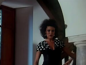 Hd Retro Hairy Orgy porn videos at Xecce.com