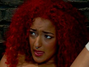 Daisy Ducatis Initiation Fear of Whipping Tried and Tested, Daisy Ducati is new on the block and has her little heart heart set on playing with the Bitches. Watch as Aiden Starr Initiates her by testing her fears and fulfilling her face smothering fantasie