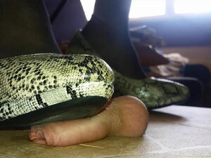 Snake Porn - Filmy Porno @ PornoKrol.com
